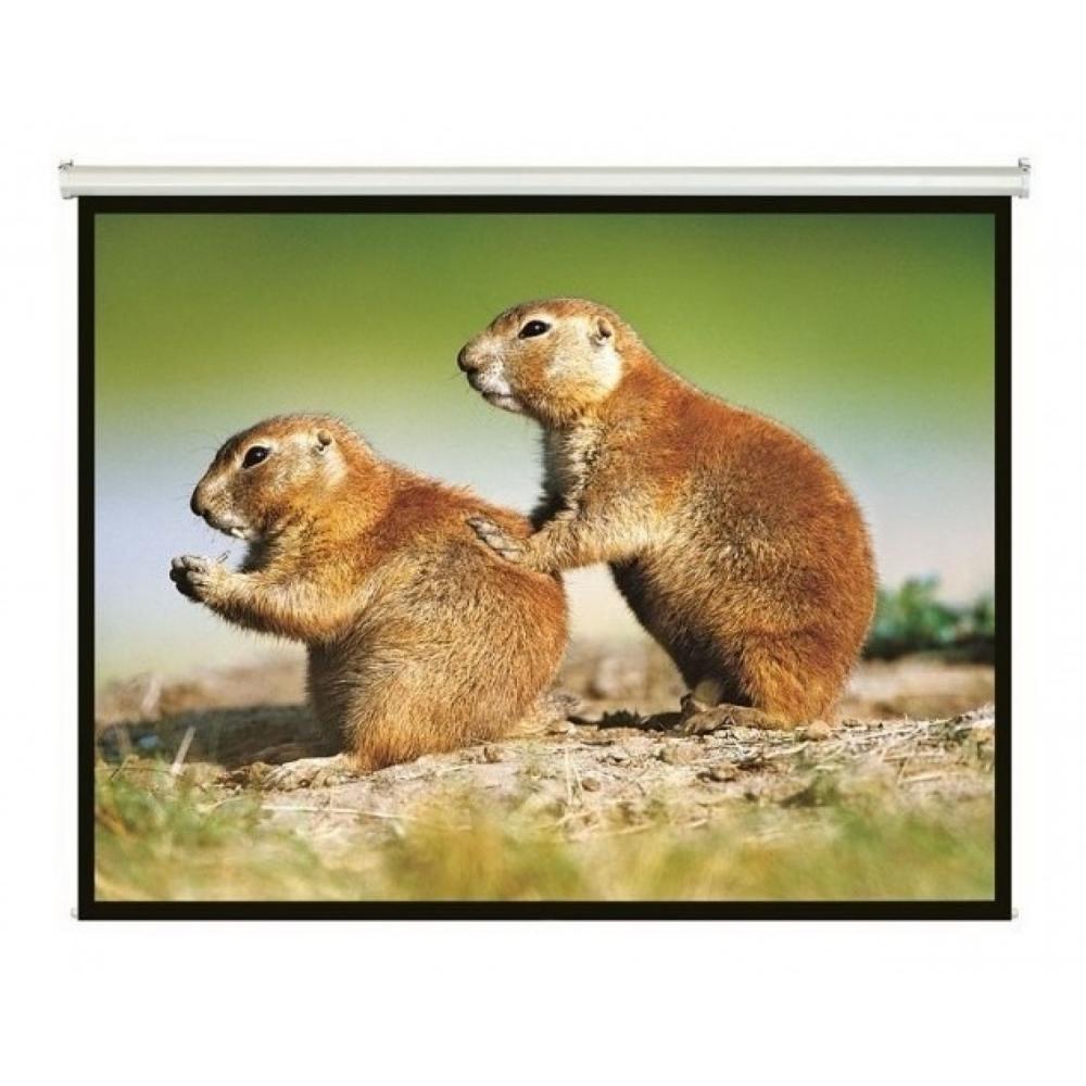 Pantalla Intelaid para proyector 86 Pulgadas Colgante IT-SPS86